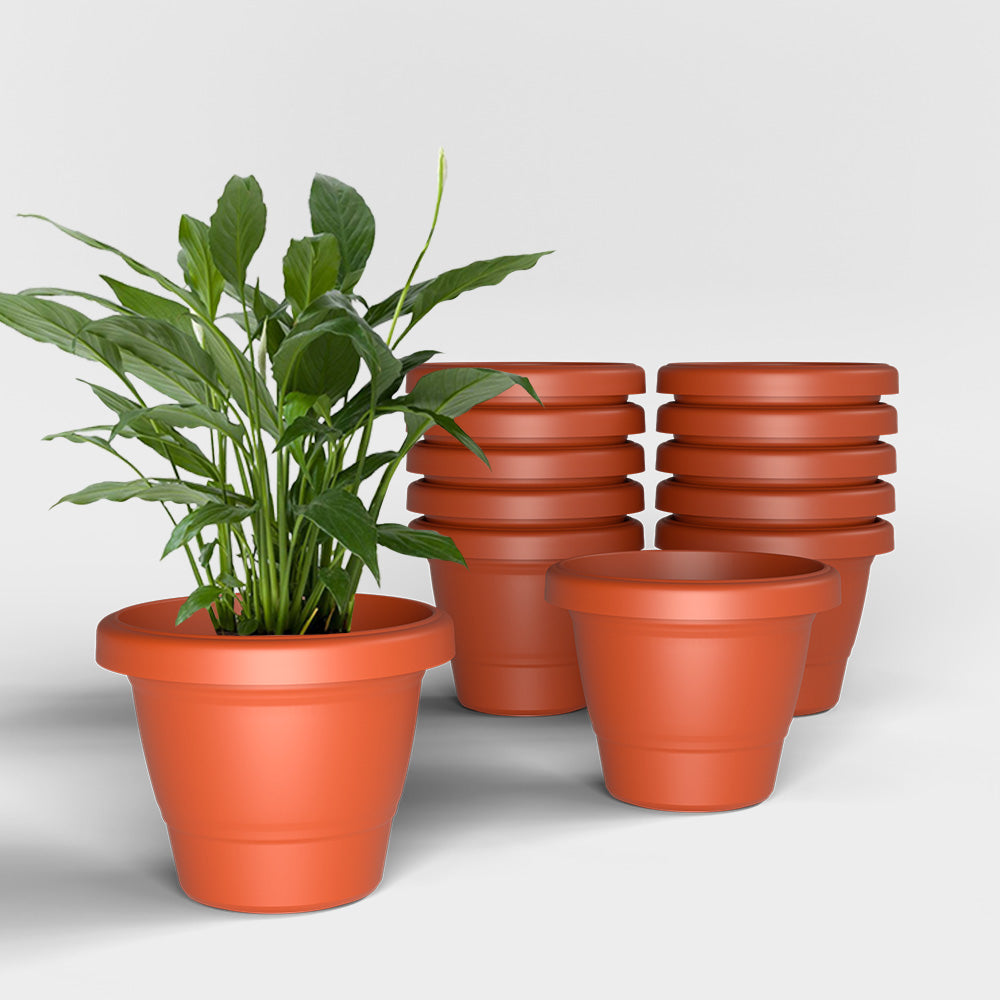 SHERA | SD PLANTER