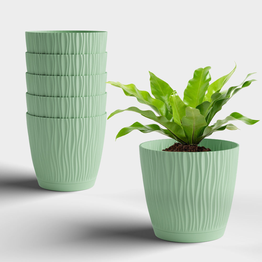 SHERA | EVA PLANTER