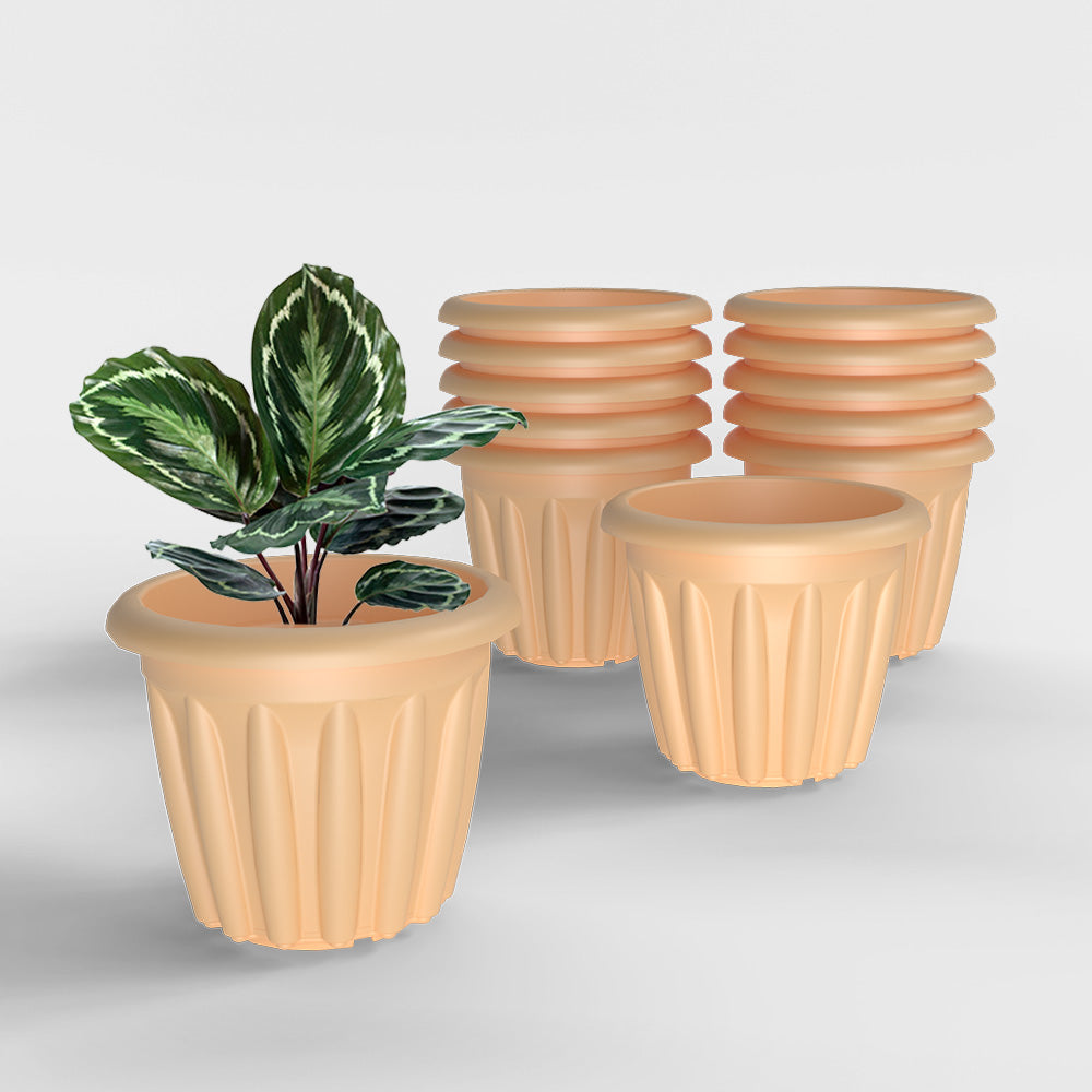 SHERA | FLOOT PLANTER