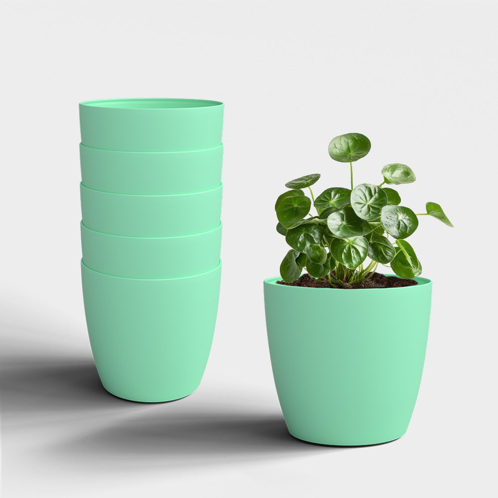 SHERA | STELLA PLANTER