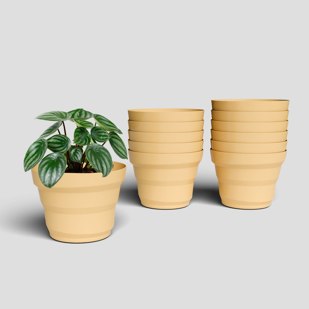 SHERA | RING PLANTER