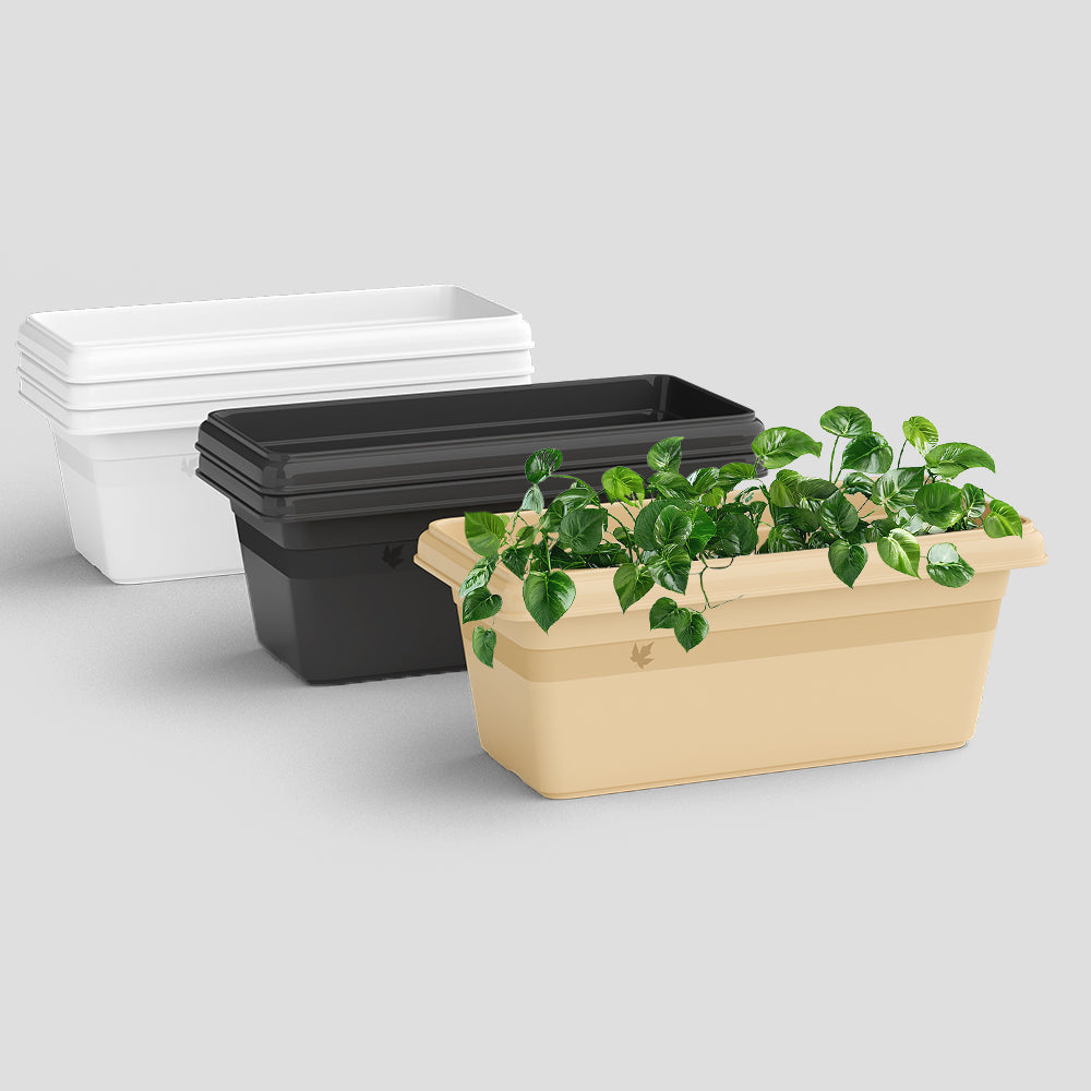 SHERA | TP PLANTER