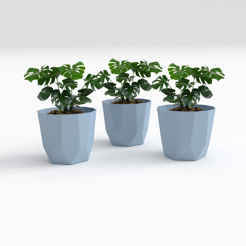 SHERA | HEXA PLANTER