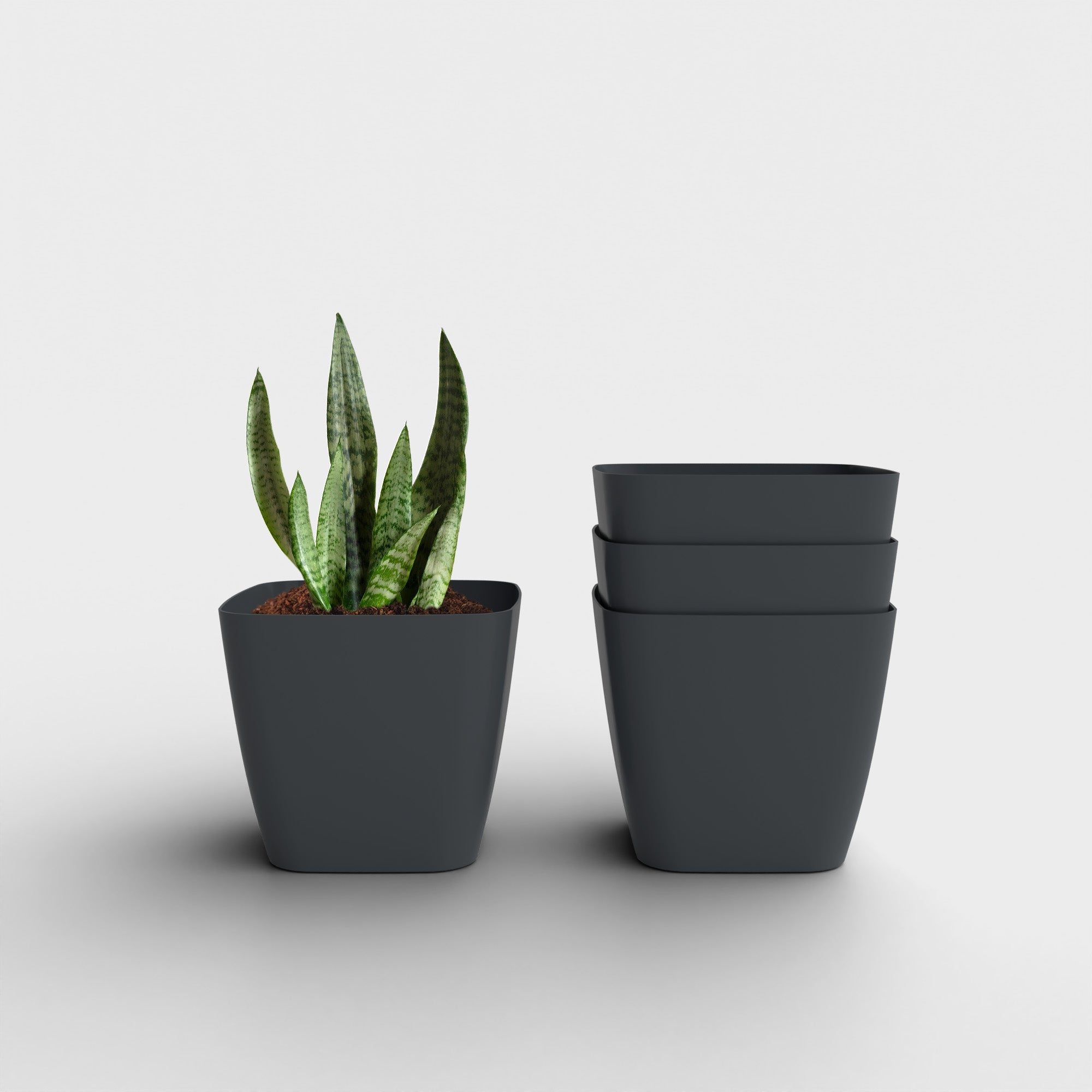 SHERA | STOIC PLANTER