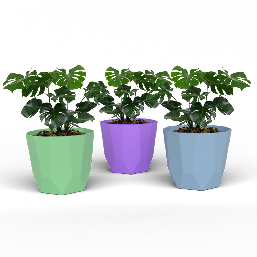 SHERA | HEXA PLANTER