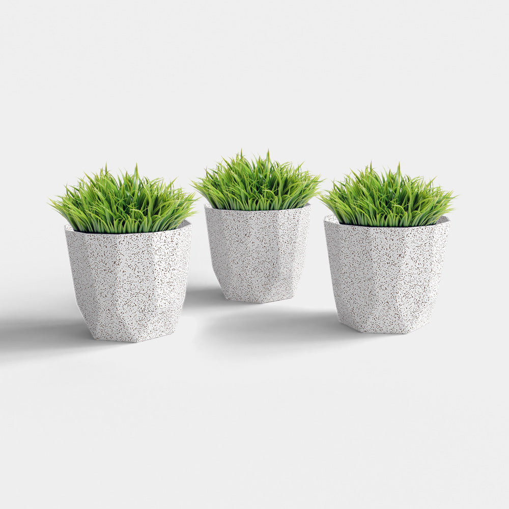 SHERA | HEXA BIO PLANTER