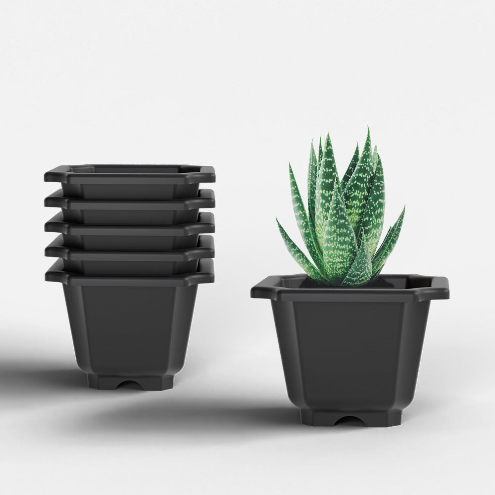 SHERA | OCTA PLANTER SET OF 6