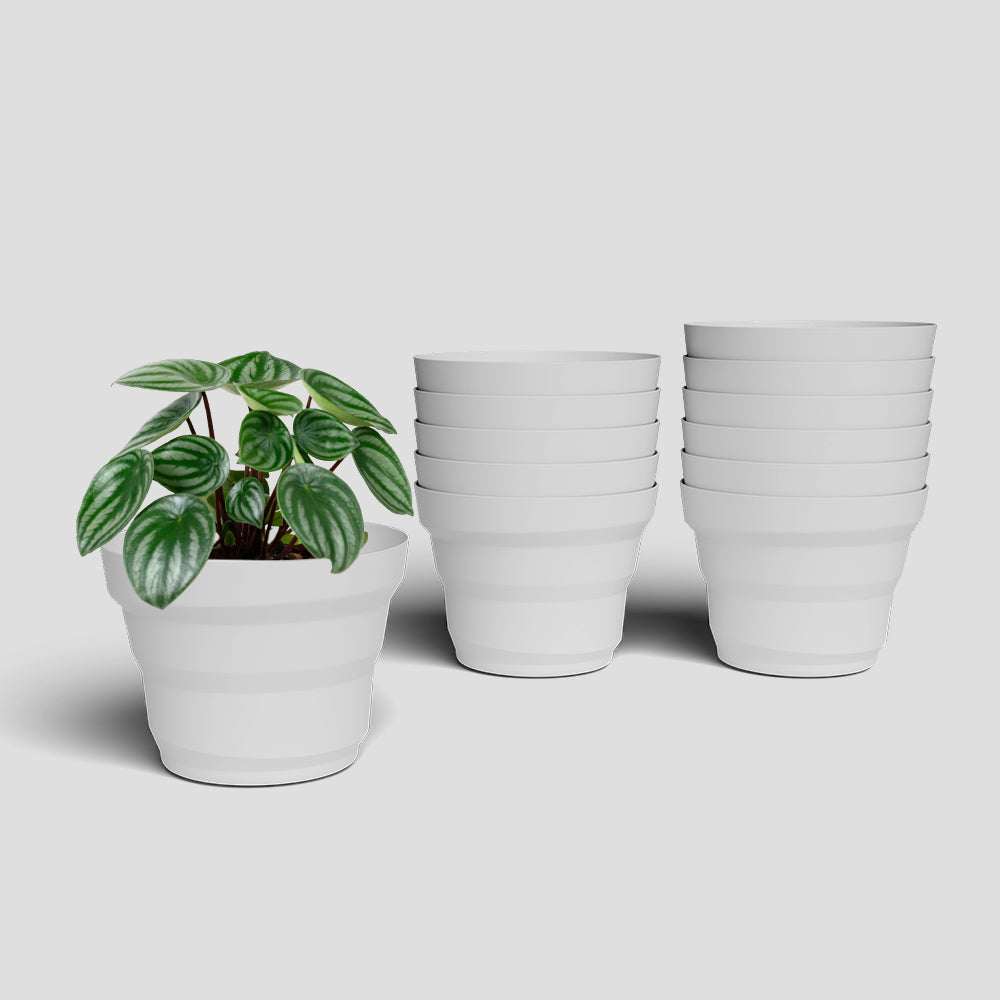 SHERA | RING PLANTER