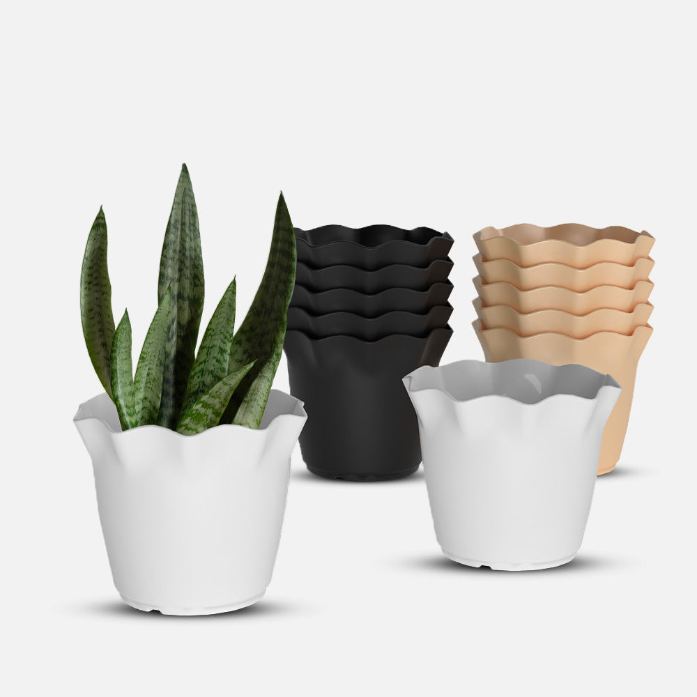 SHERA | FLOWER PLANTER