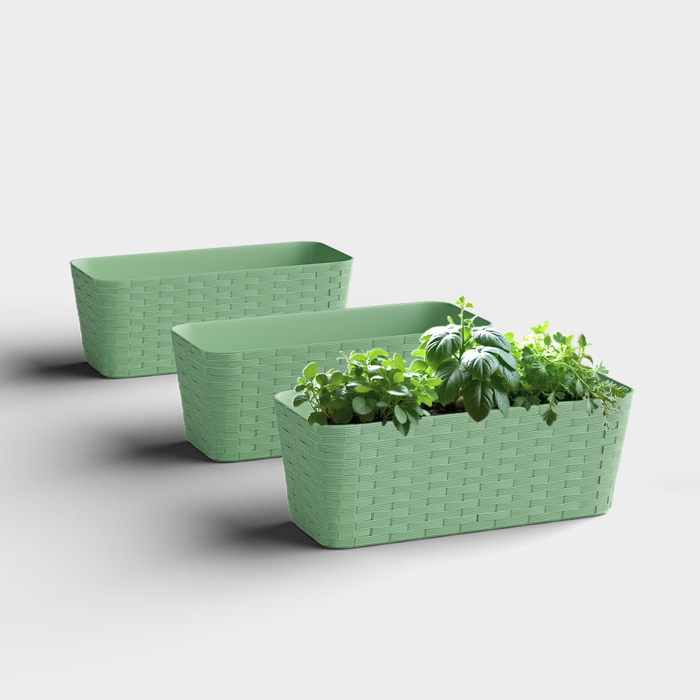 SHERA | RATTAN TRAY
