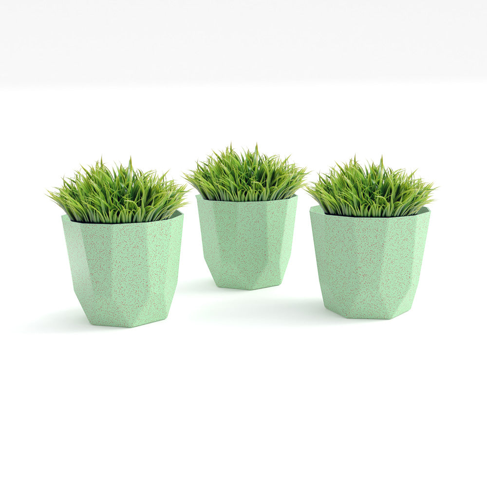 SHERA | HEXA BIO PLANTER