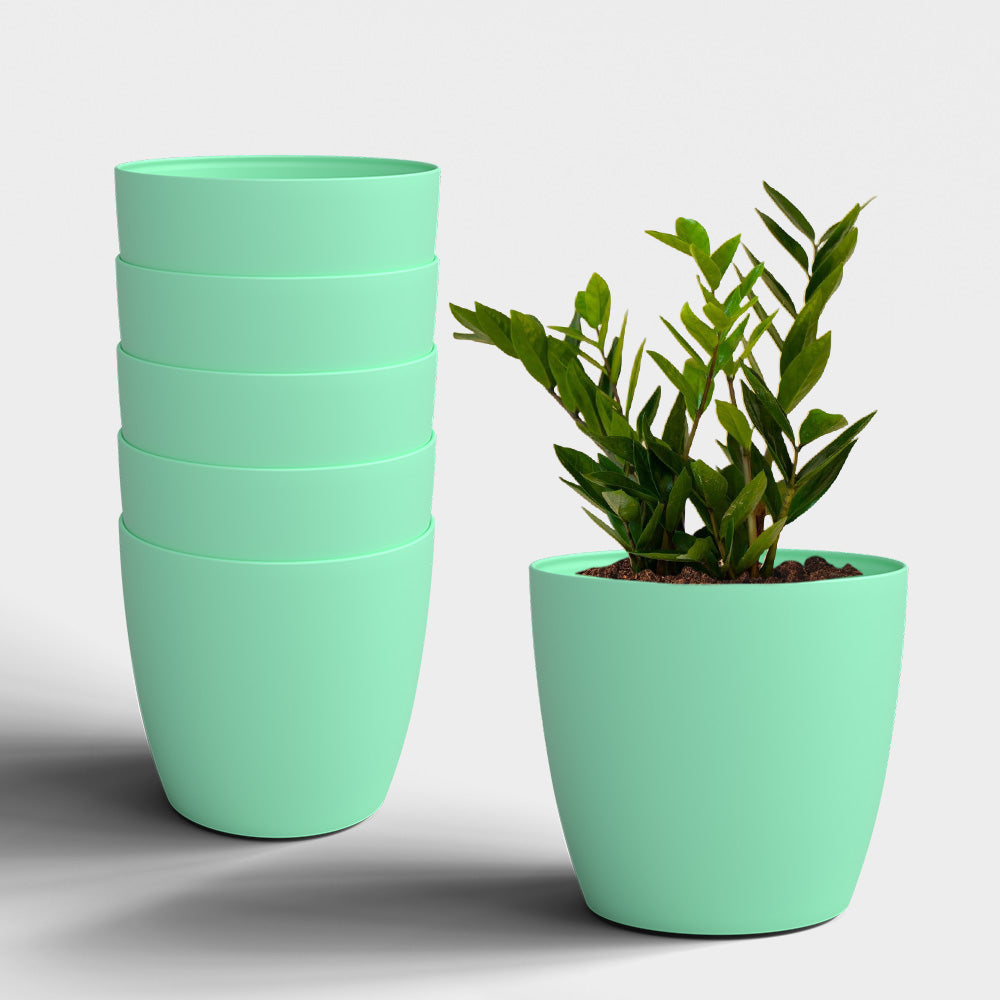 SHERA | STELLA PLANTER