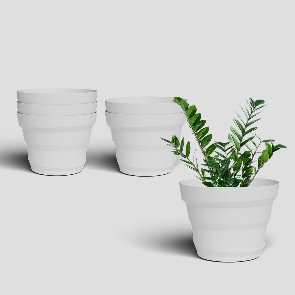 SHERA | RING PLANTER