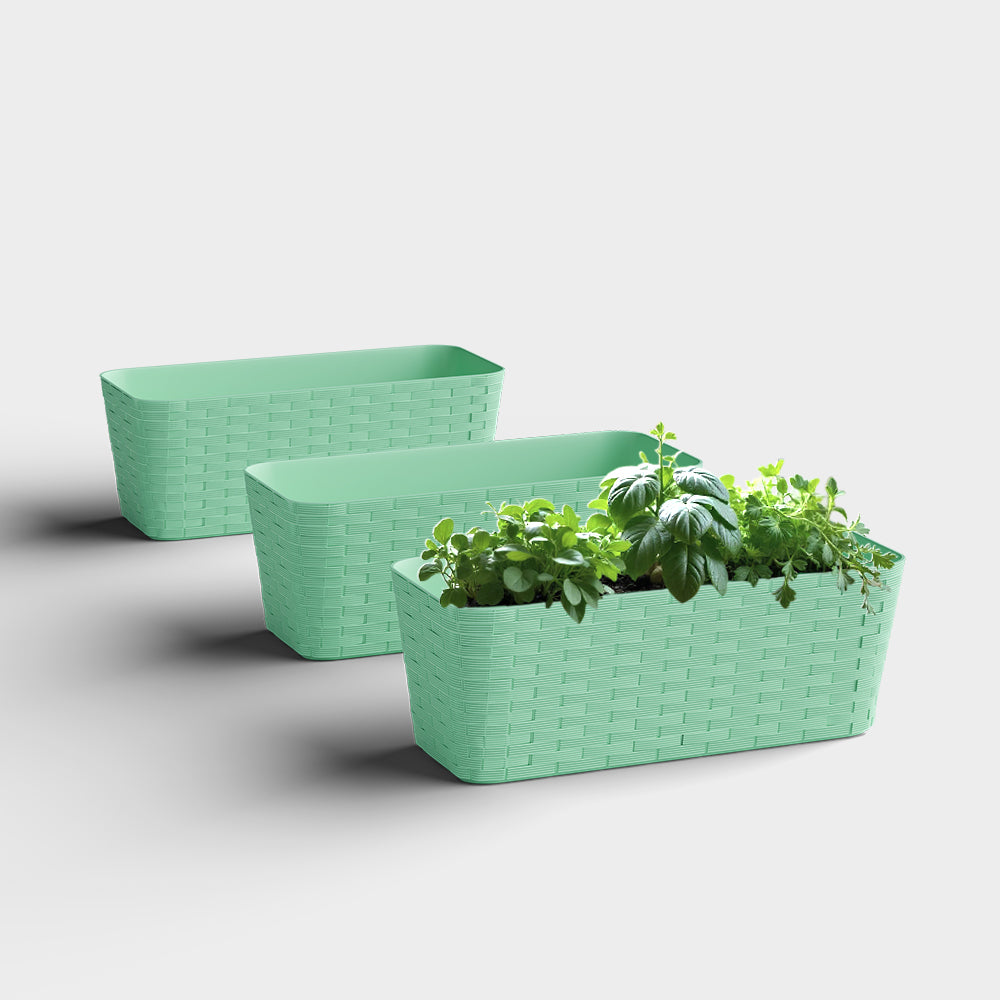 SHERA | RATTAN TRAY