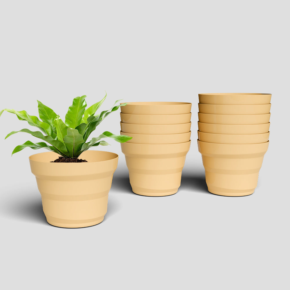 SHERA | RING PLANTER