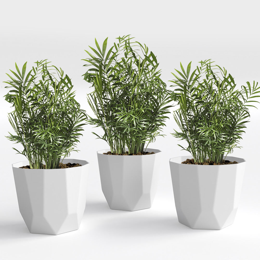 SHERA | HEXA PLANTER