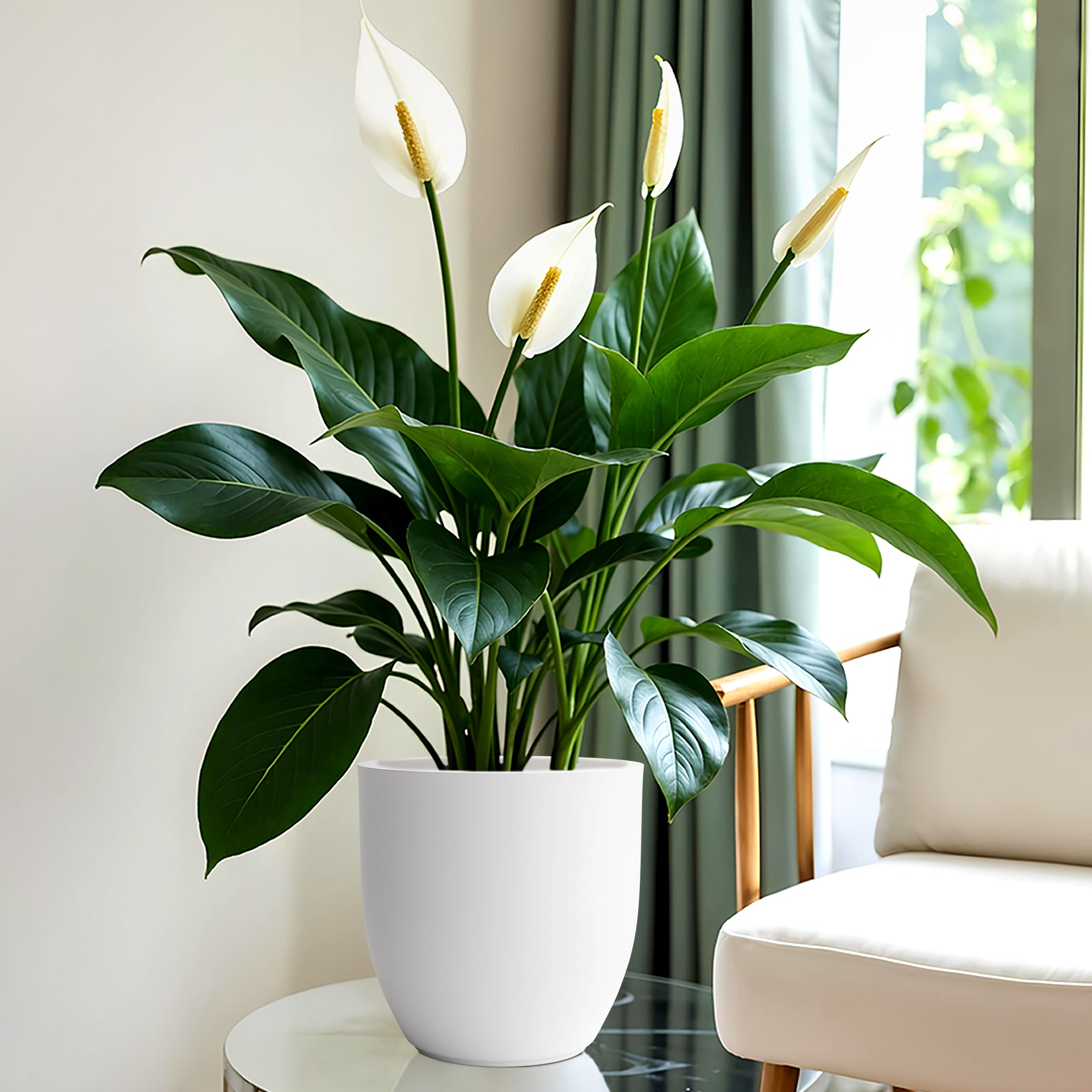 FOX B | P CUP PLANTER