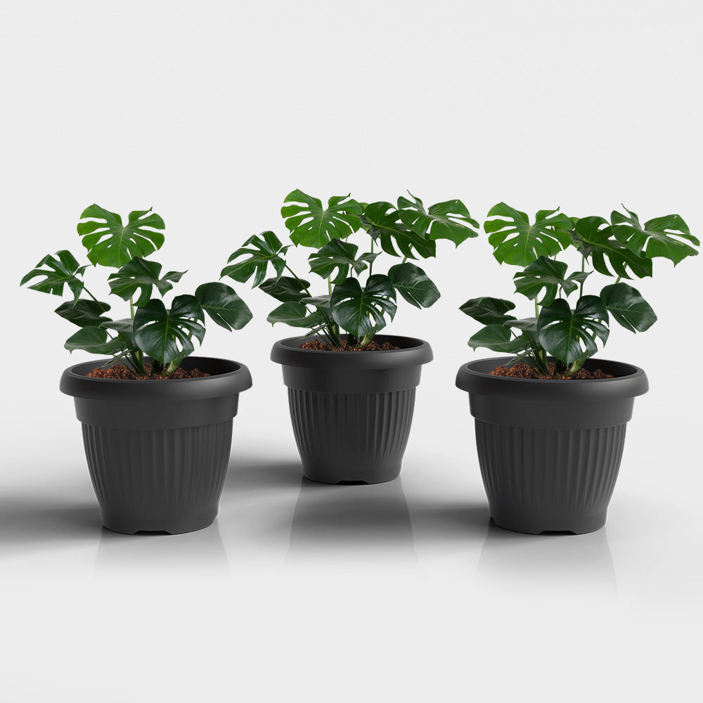 SHERA | BLOOM PLANTER
