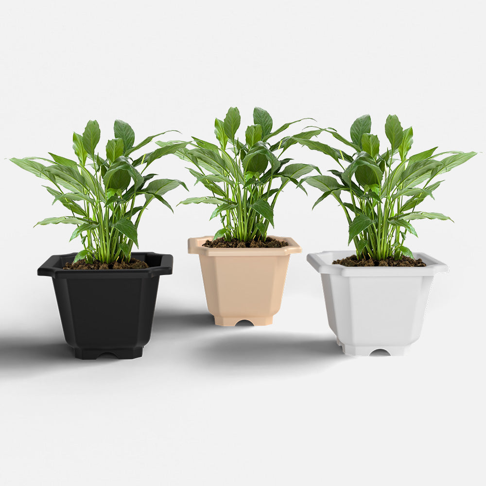 SHERA | OCTA PLANTER SET OF 3