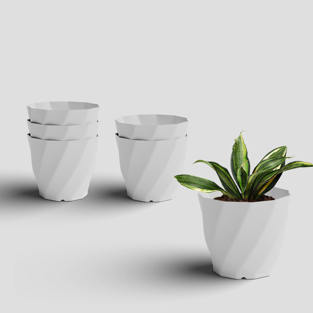 SHERA | SWIRL PLANTER