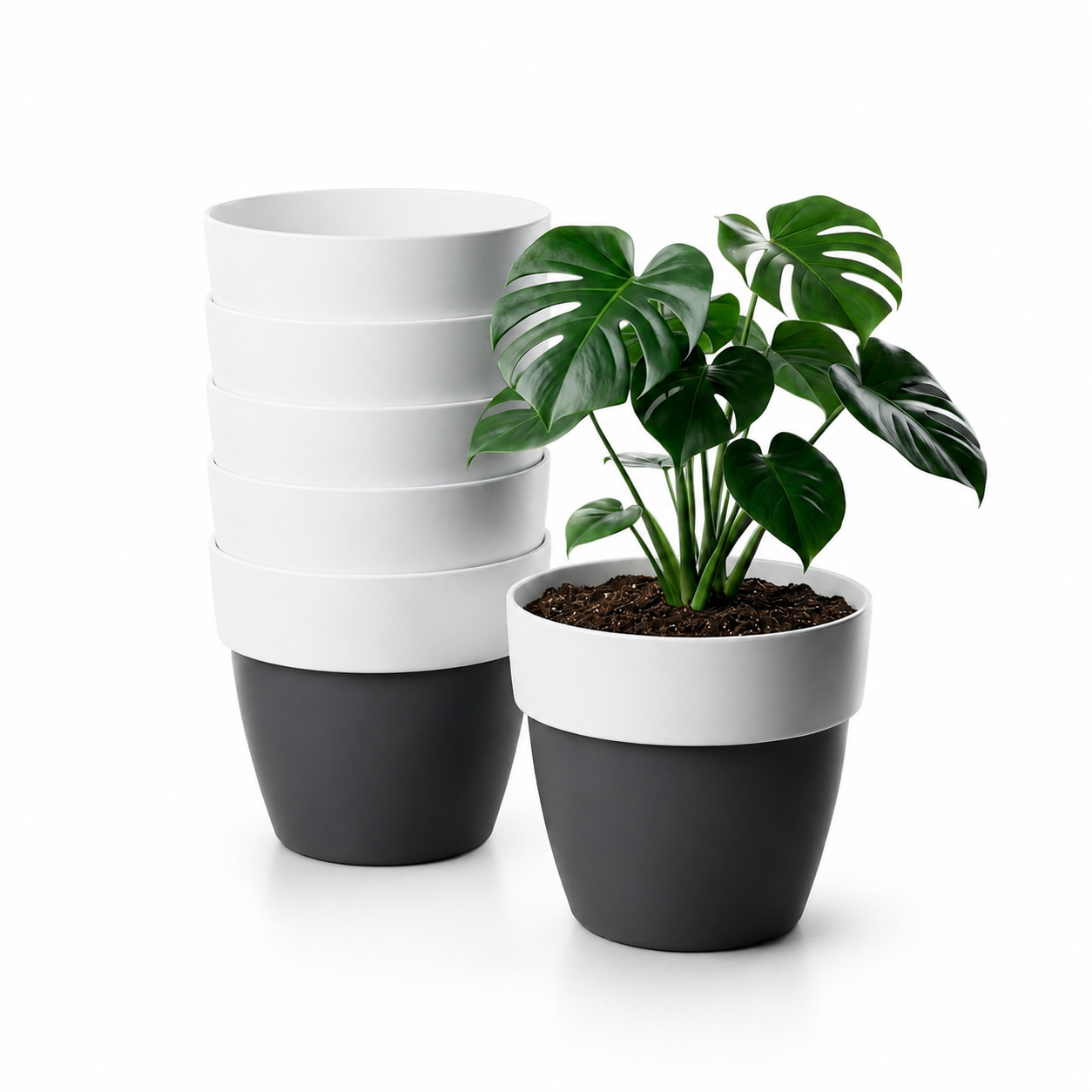 SHERA | VETA PLANTER