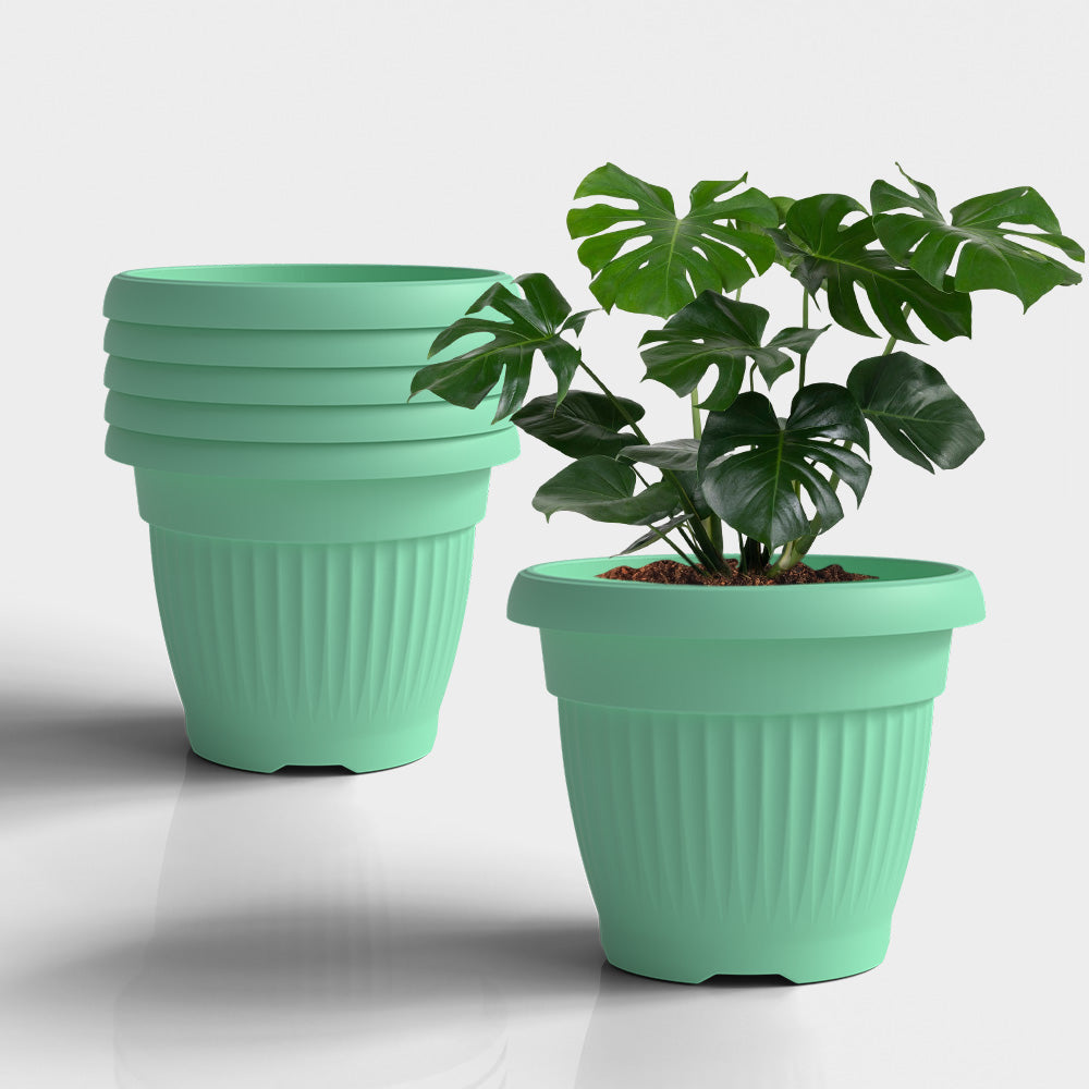 SHERA | BLOOM PLANTER