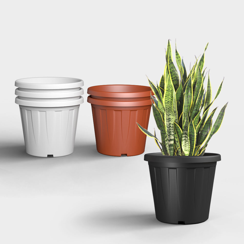 SHERA | CROWN PLANTER