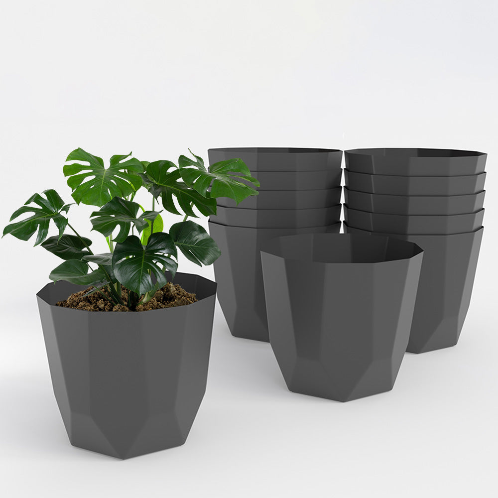 SHERA | HEXA PLANTER