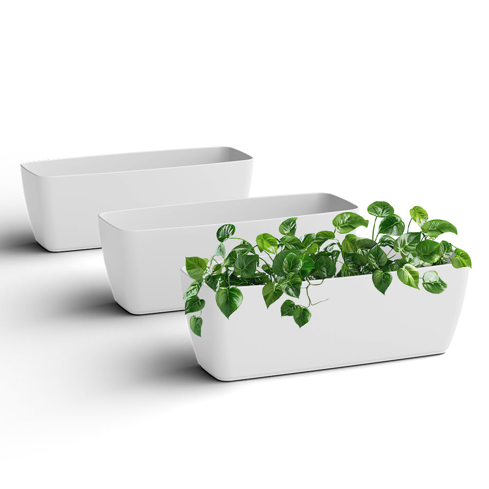SHERA | CABI TRAY PLANTER