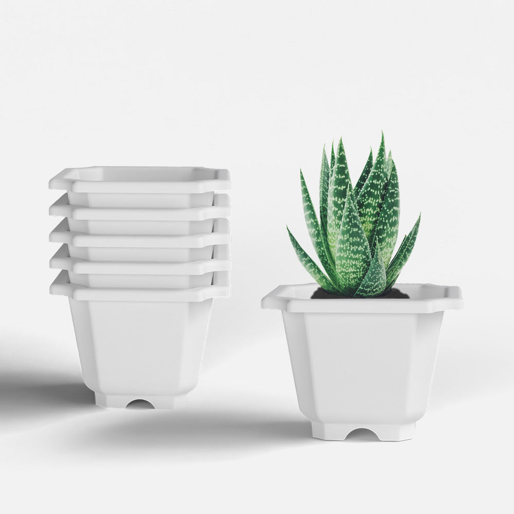 SHERA | OCTA PLANTER SET OF 6