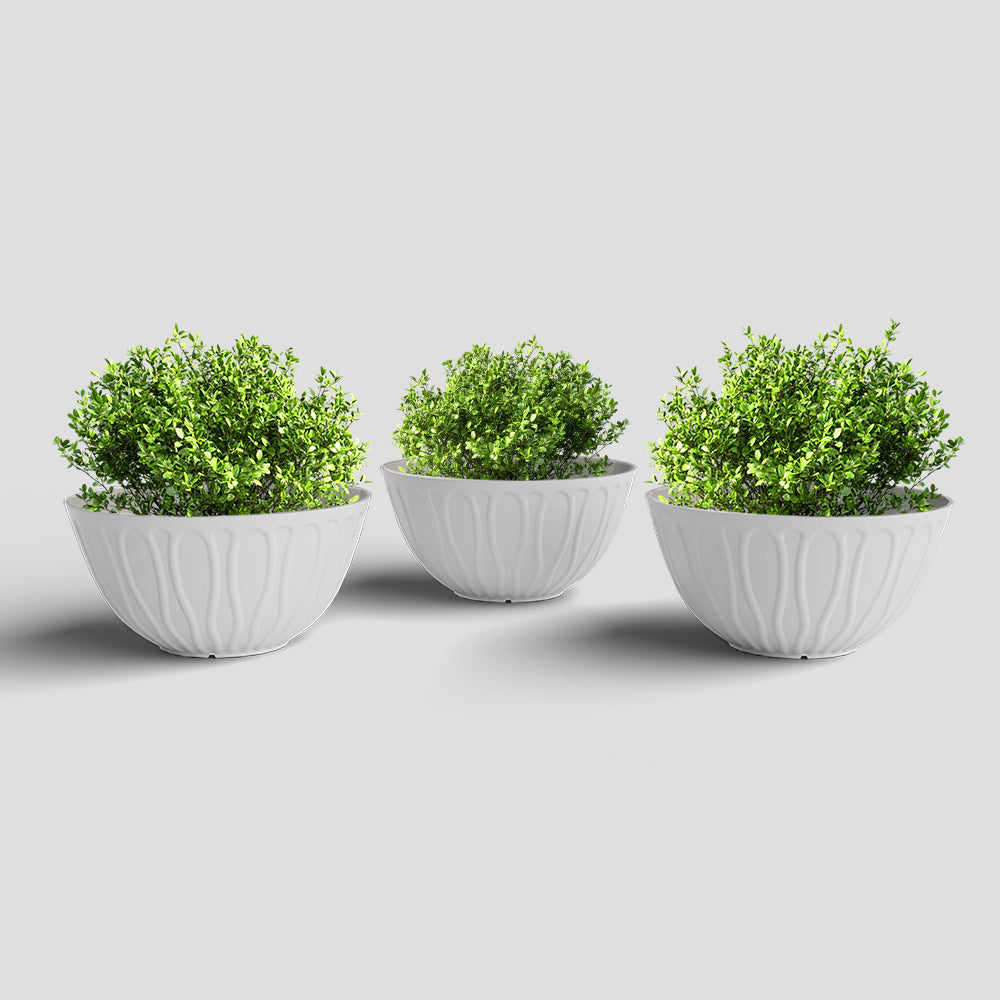 SHERA | WAVE KTR PLANTER