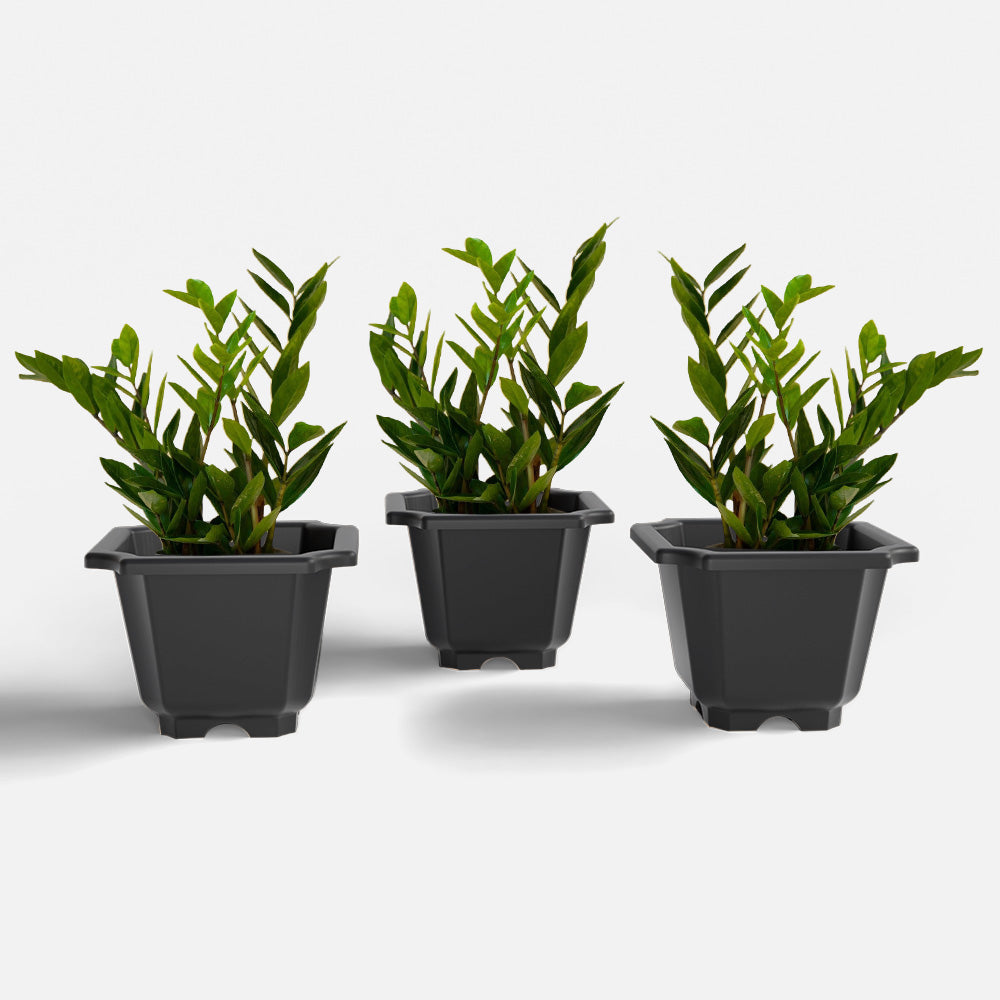 SHERA | OCTA PLANTER SET OF 3