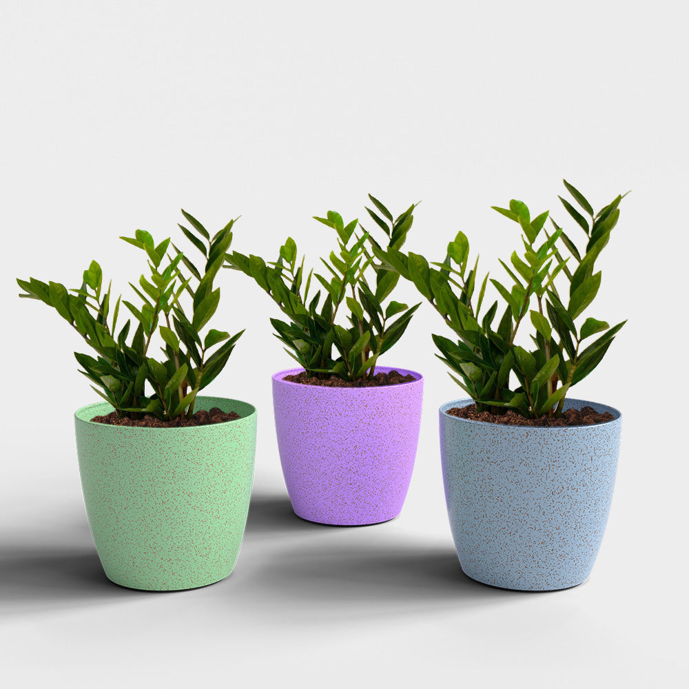 SHERA | STELLA BIO PLANTER