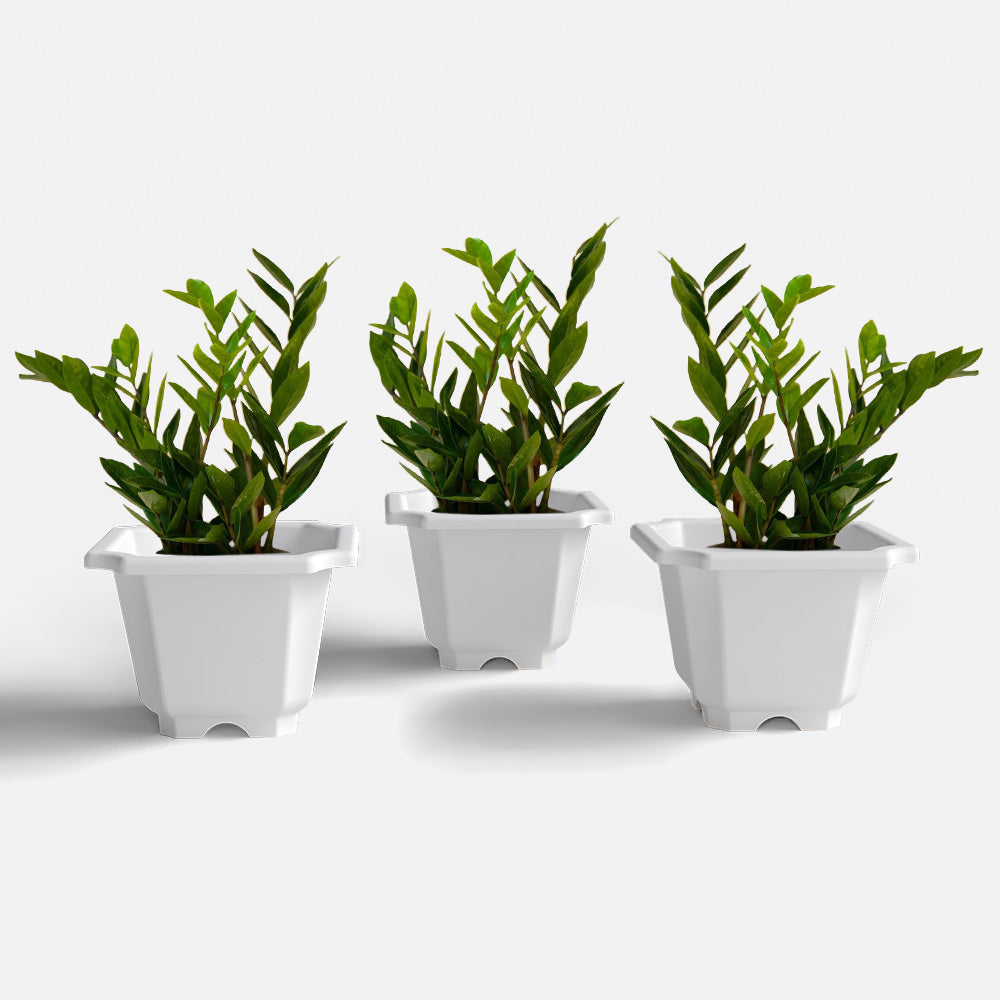 SHERA | OCTA PLANTER SET OF 3