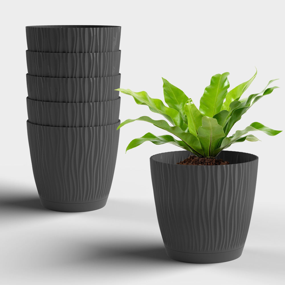 SHERA | EVA PLANTER