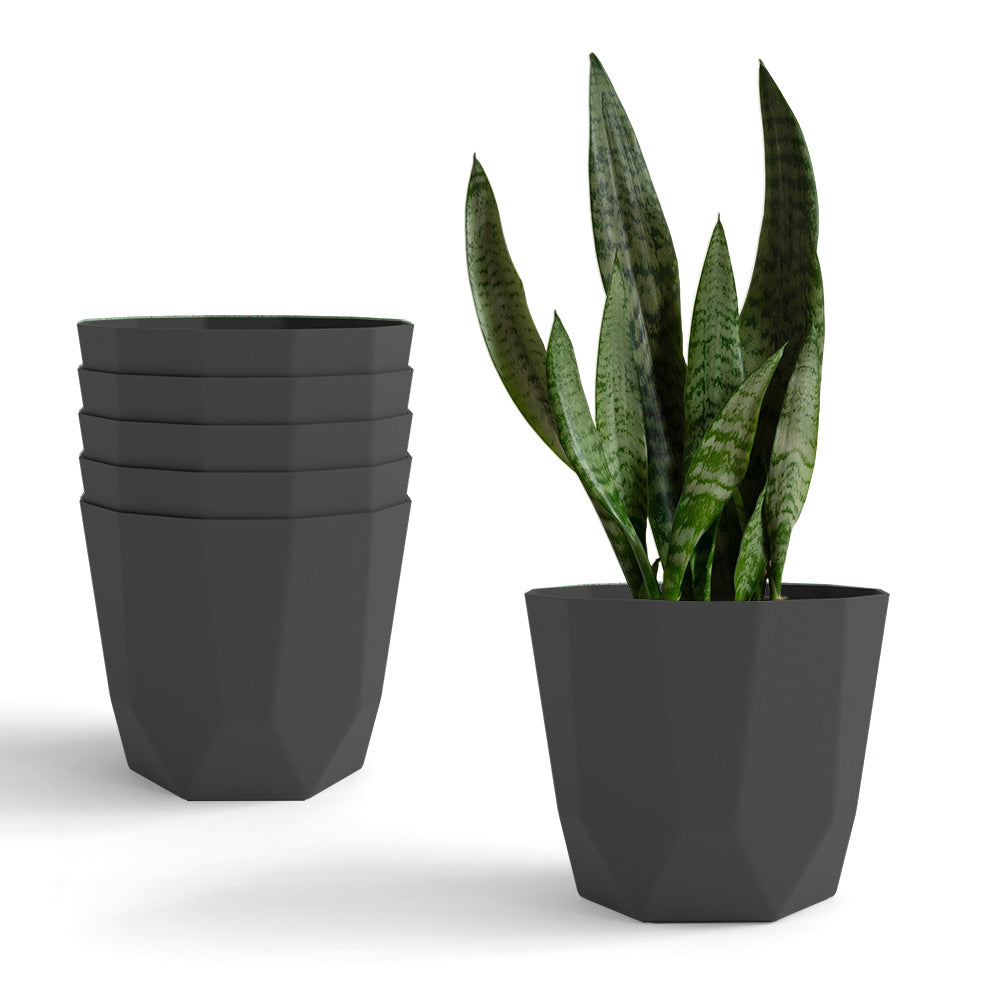 SHERA | HEXA PLANTER