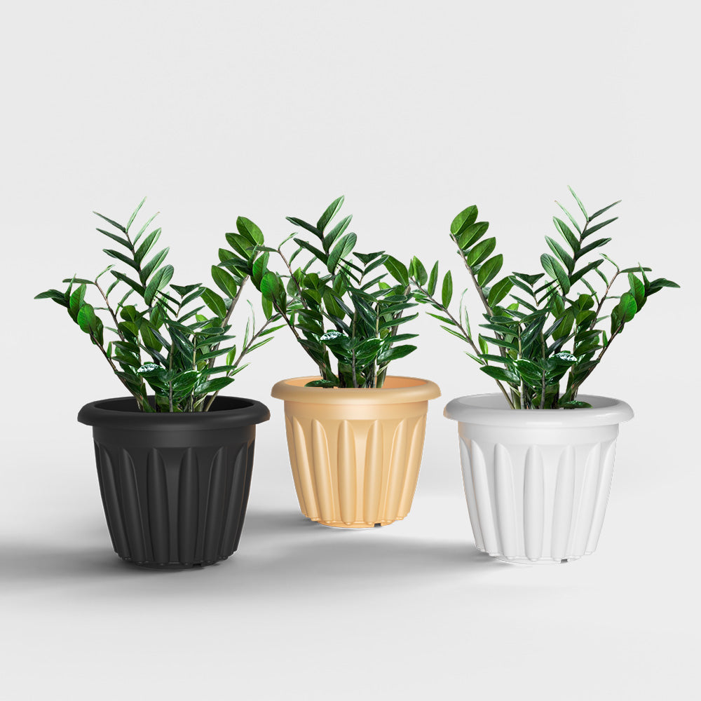 SHERA | FLOOT PLANTER