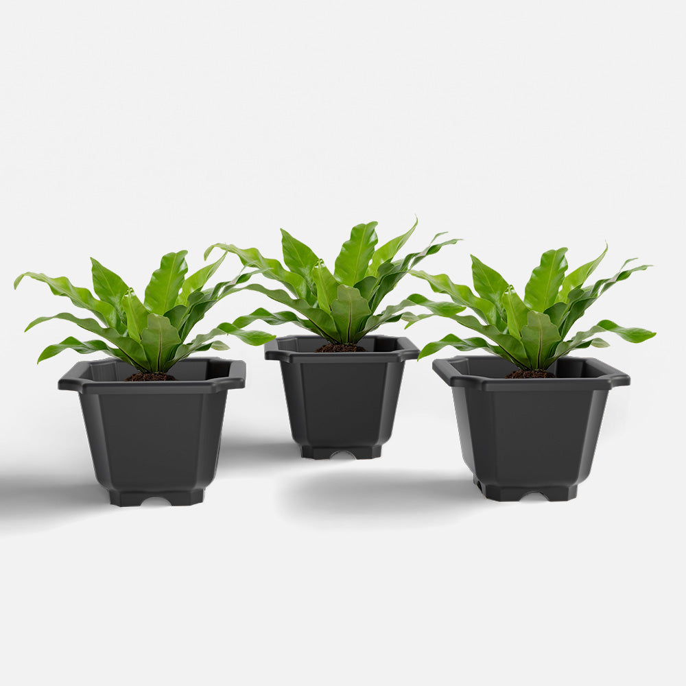 SHERA | OCTA PLANTER SET OF 3