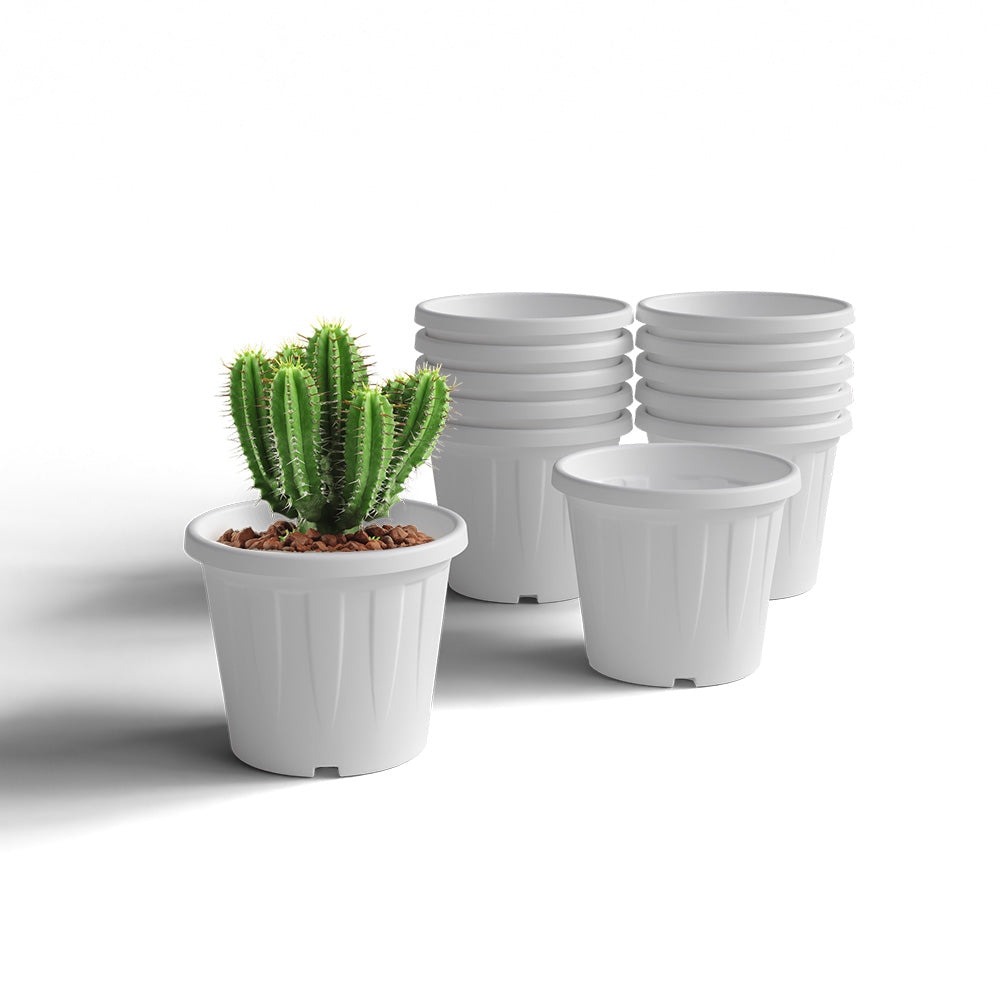 SHERA | CROWN PLANTER