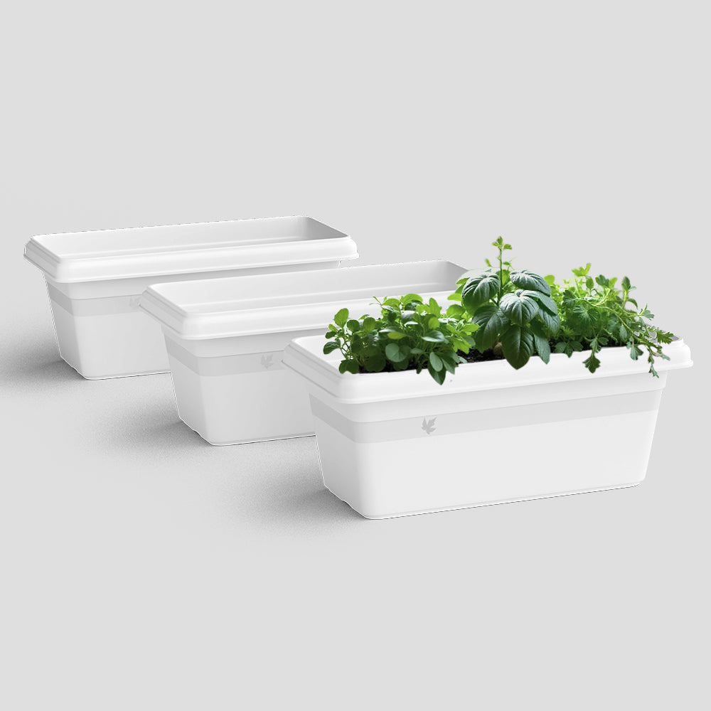 SHERA | TP PLANTER