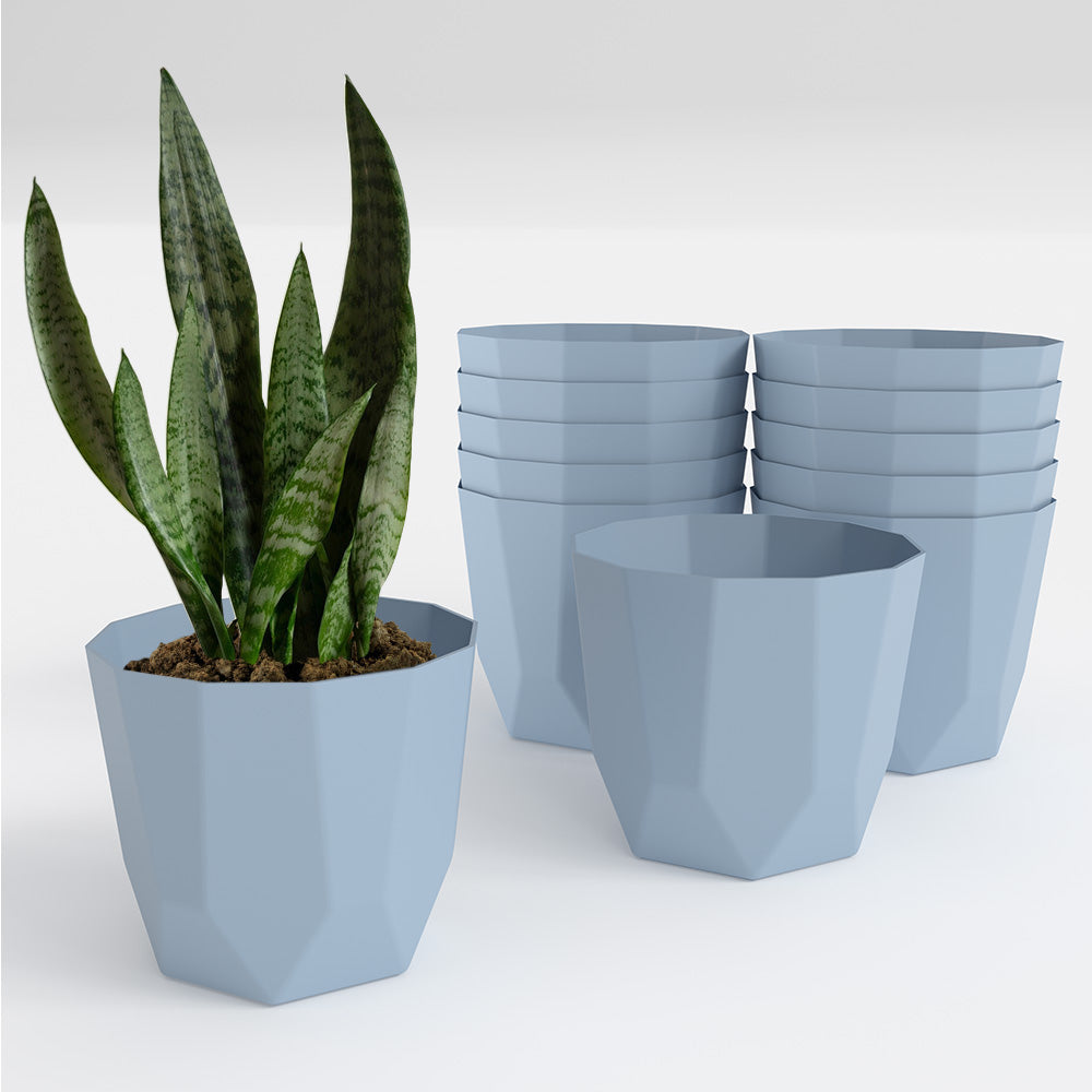 SHERA | HEXA PLANTER