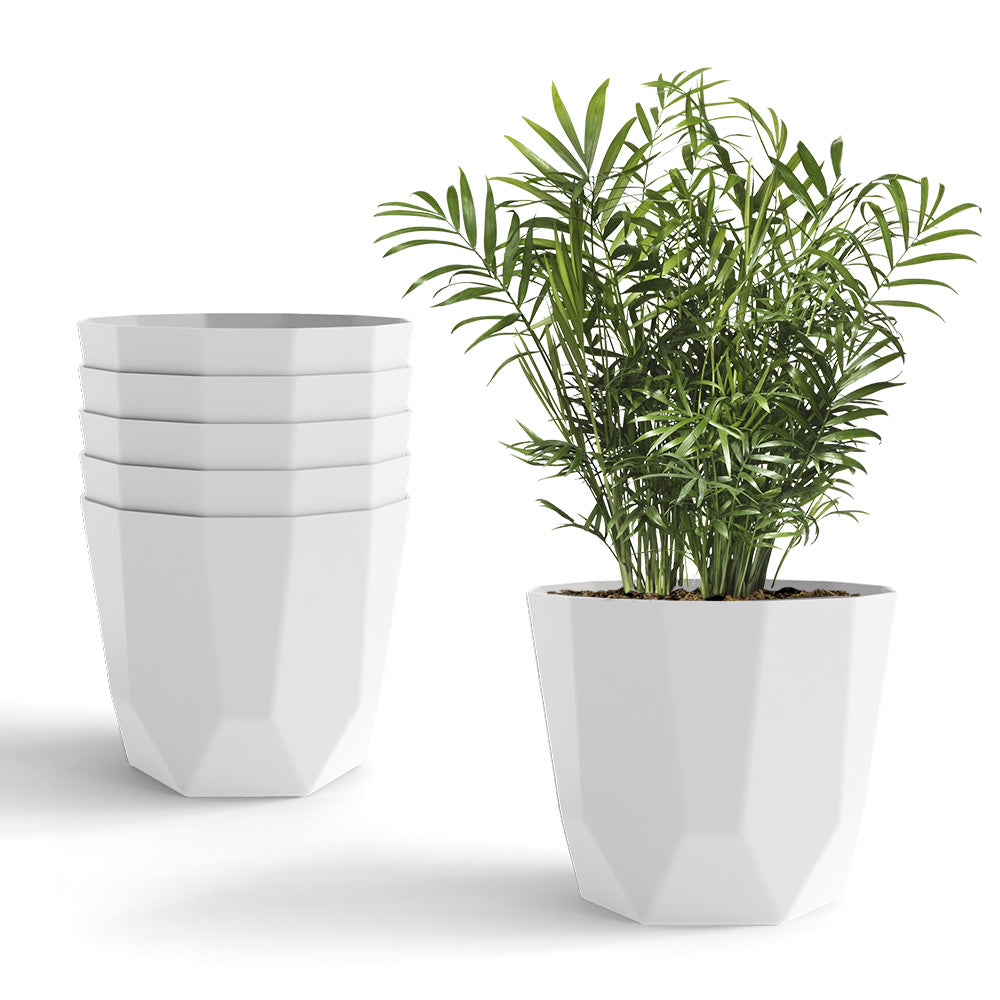 SHERA | HEXA PLANTER