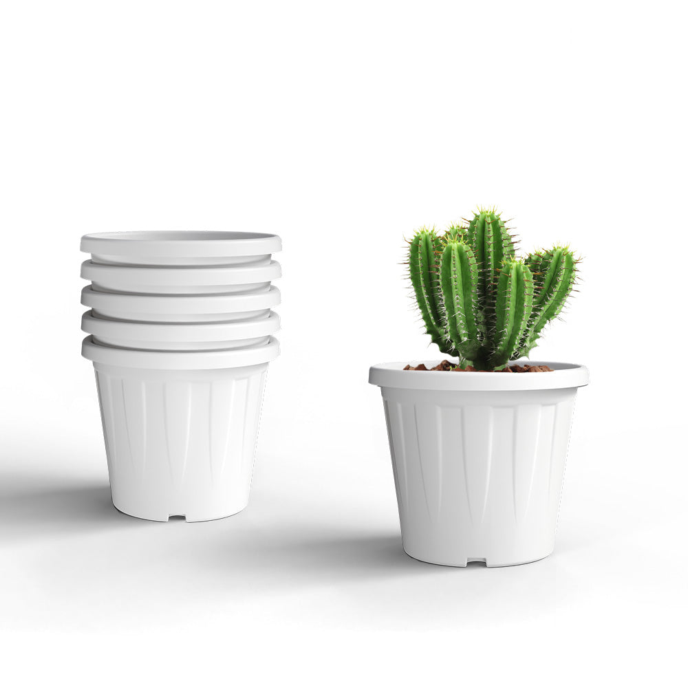 SHERA | CROWN PLANTER