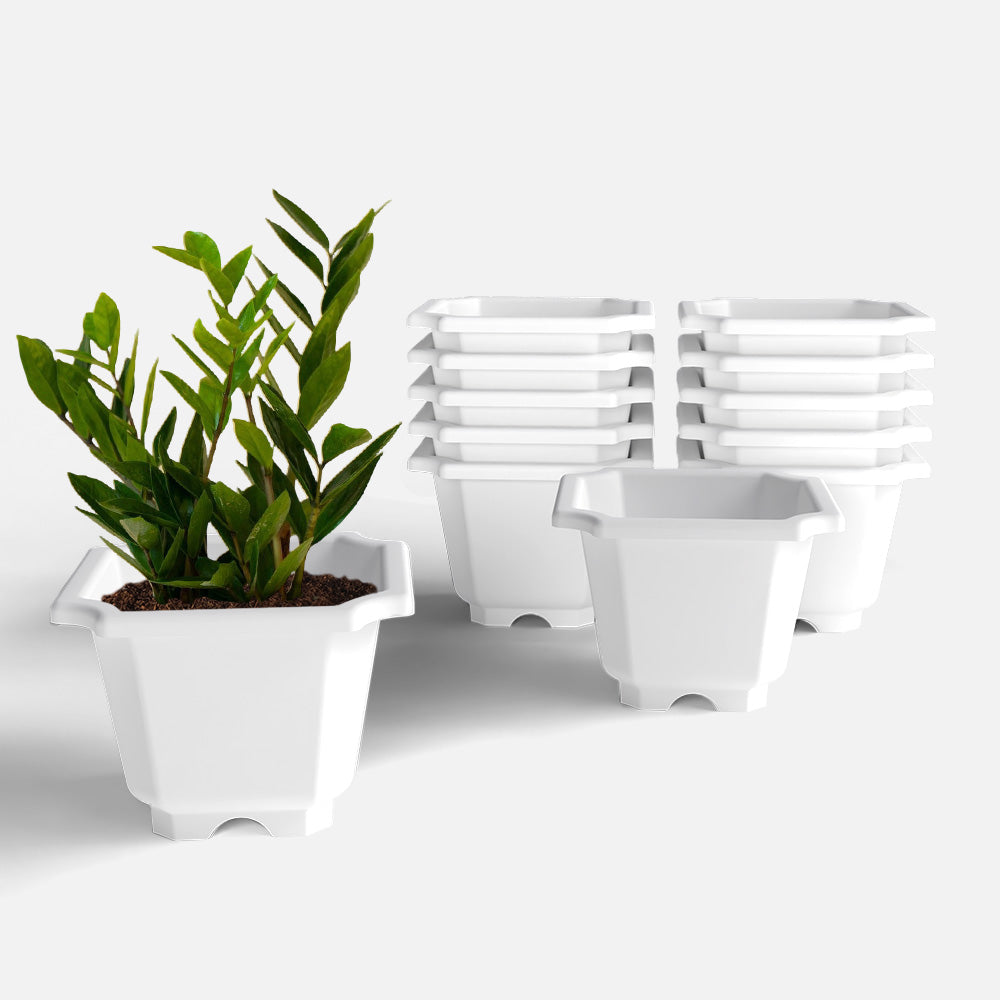 SHERA | OCTA PLANTER SET OF 12
