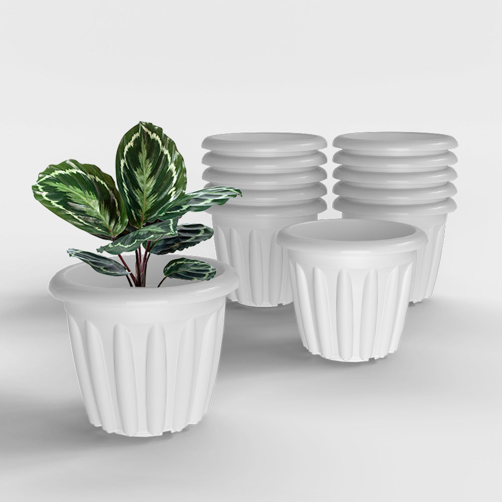 SHERA | FLOOT PLANTER