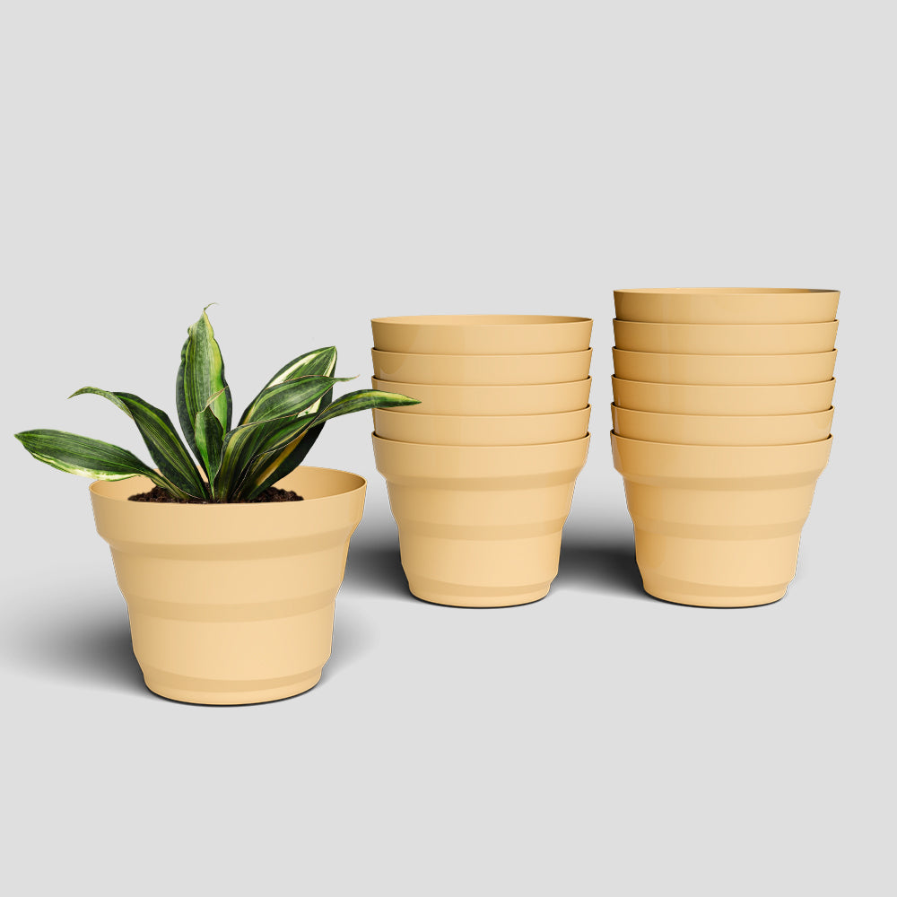 SHERA | RING PLANTER