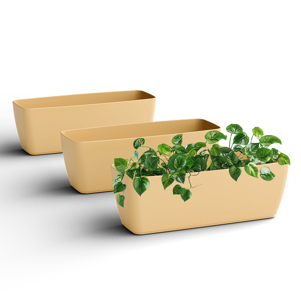 SHERA | CABI TRAY PLANTER