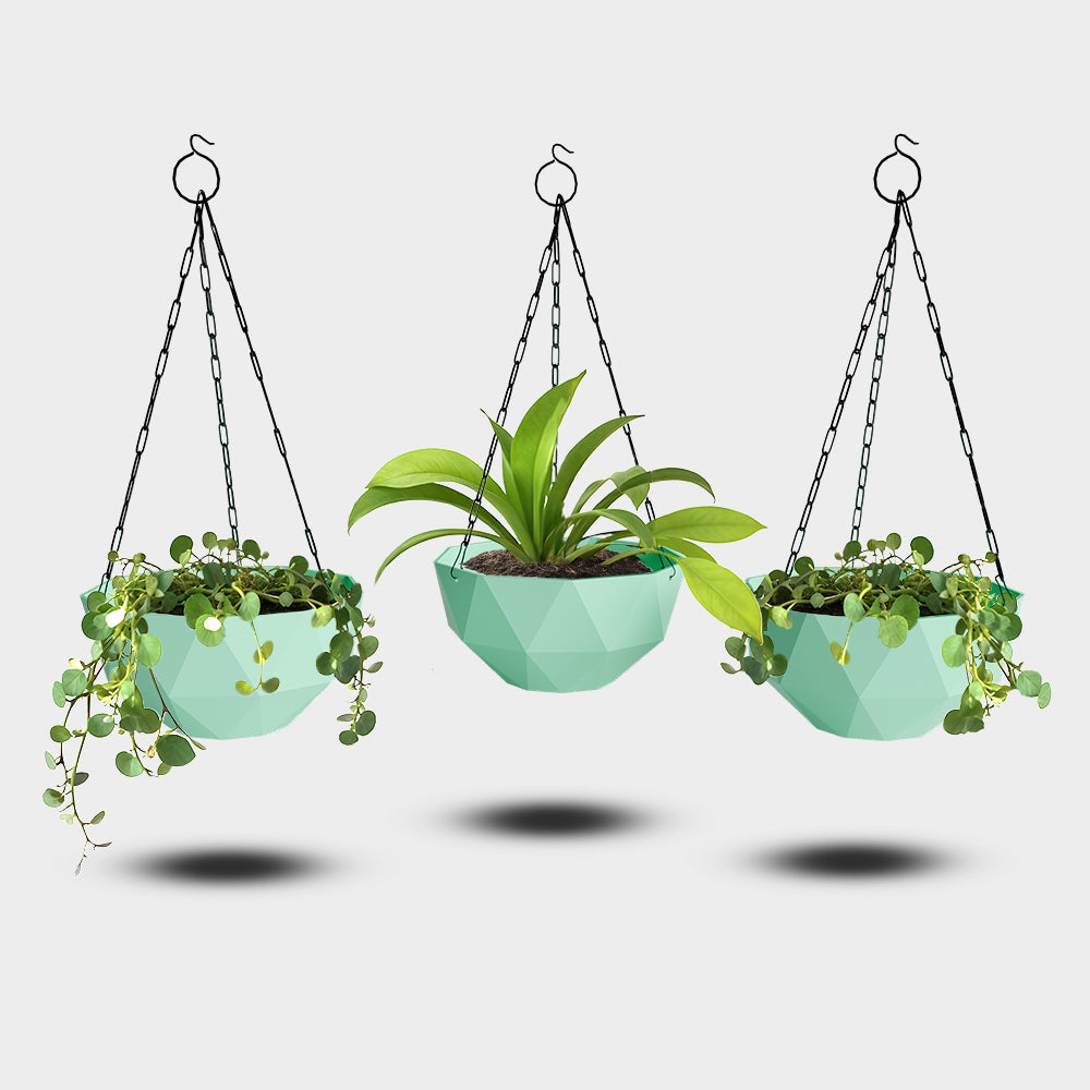 SHERA | DMD KTR HANGING