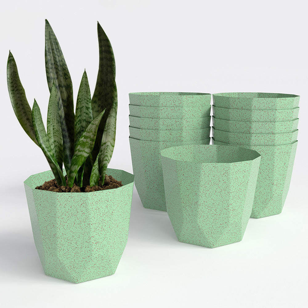 SHERA | HEXA BIO PLANTER