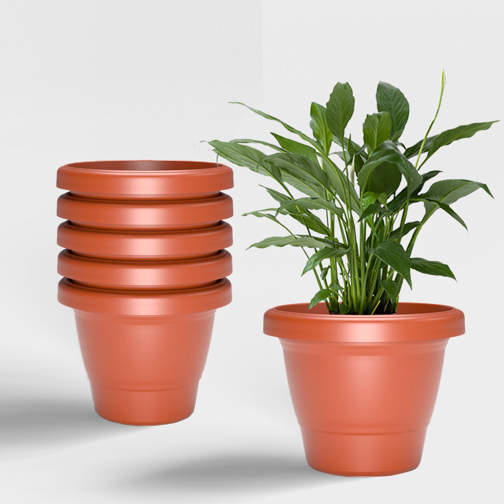 SHERA | SD PLANTER